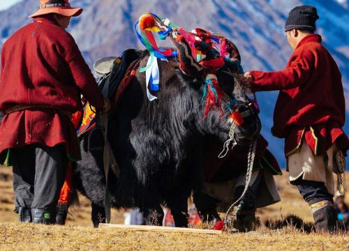 Top Bhutan Festivals You Should Not Miss This Year 2025