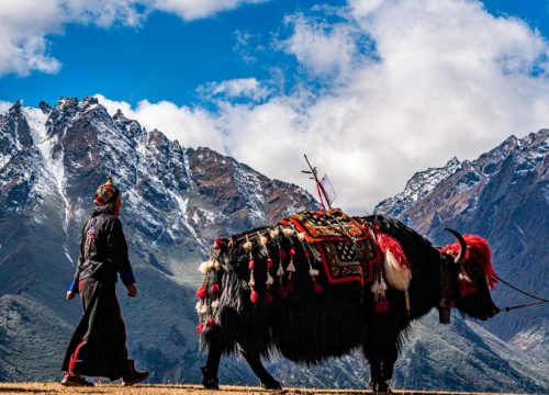 6 days Mountains and Monasteries of Western Bhutan