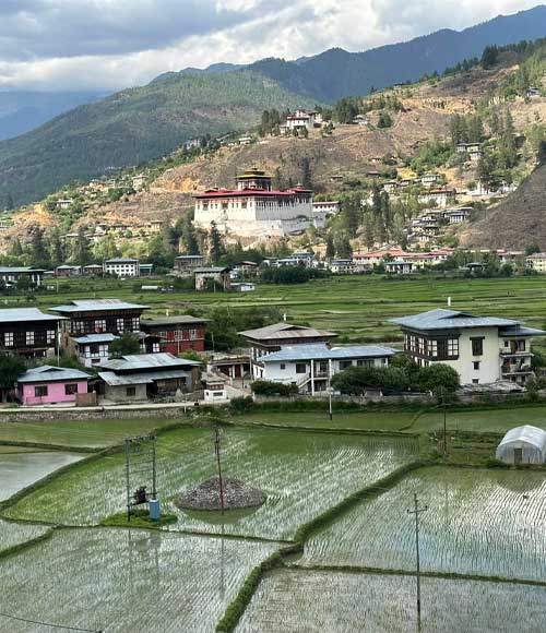 Cultural Wonders of Paro