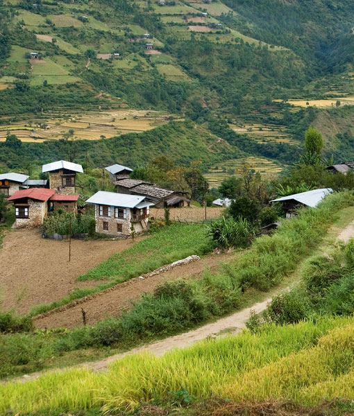 Nature & Wildlife Excursions