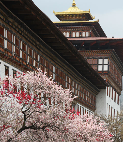 Mystical Bhutan
