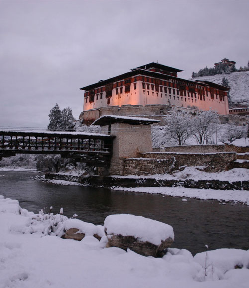 Paro
